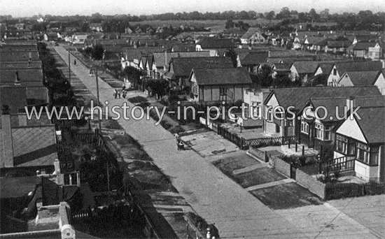 Cornflower Road, Jaywick Sands, Essex.c.1930's